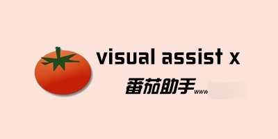 Visual Assist X10.9.2382.0番茄助手破解版 支持VS2019-爱云资源